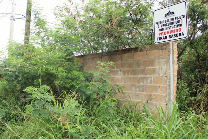 ¿Quién limpia los terrenos abandonados? ¿Quién limpia los terrenos abandonados?