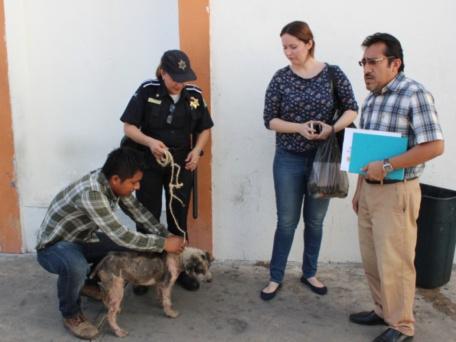 "Candelario" encontrará un nuevo hogar "Candelario" encontrará un nuevo hogar