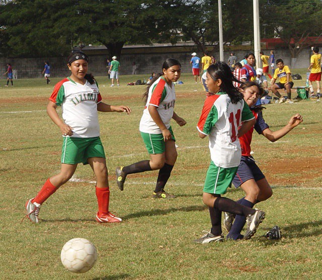 Realizan fase estatal de la Olimpiada Nacional