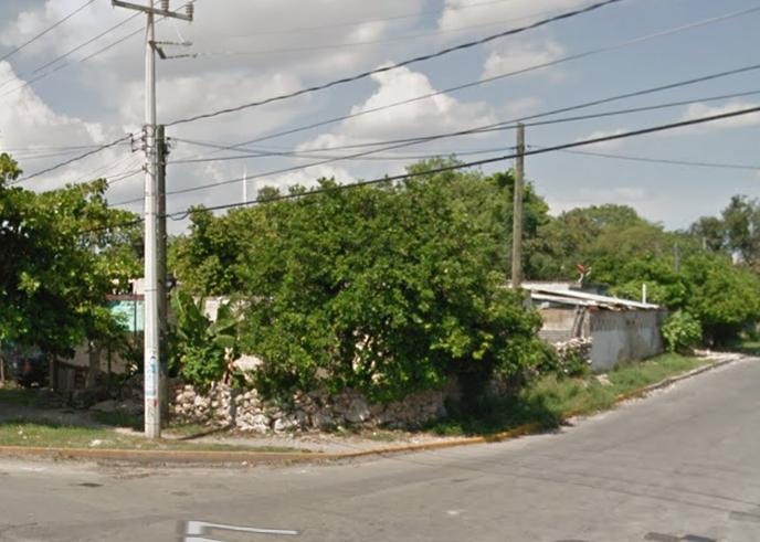 Reportan terreno abandonado en Sambulá Reportan terreno abandonado en Sambulá