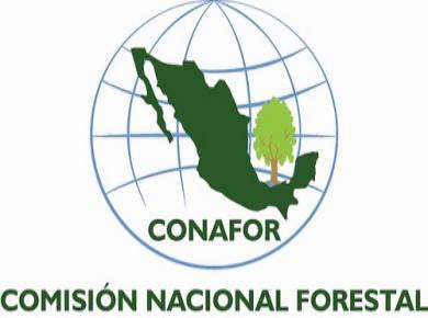 Pueblos indígenas, clave para la biodiversidad en México. Pueblos indígenas, clave para la biodiversidad en México.