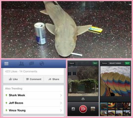 Tiburón aparece en el metro de Nueva York y los usuarios lo etiquetan como #SharkWeek Tiburón aparece en el metro de Nueva York y los usuarios lo etiquetan como #SharkWeek