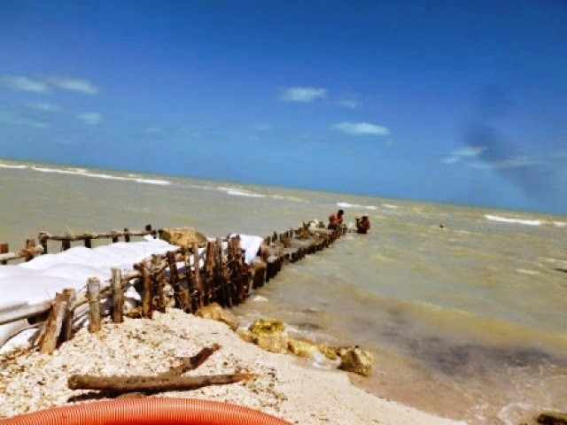 Retiran espigones ilegales en la costa yucateca Retiran espigones ilegales en la costa yucateca