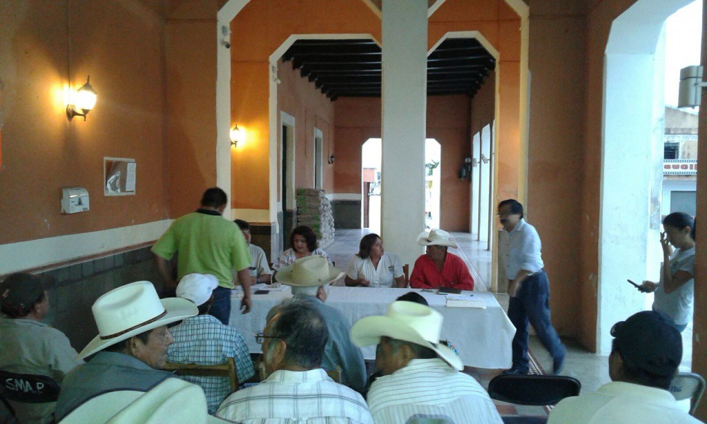 Pagan seguros agrícolas a productores de Sucilá Pagan seguros agrícolas a productores de Sucilá