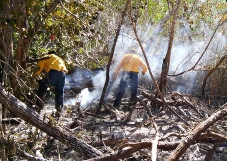 Incendio en El Palmar consumió 80 hectáreas Incendio en El Palmar consumió 80 hectáreas