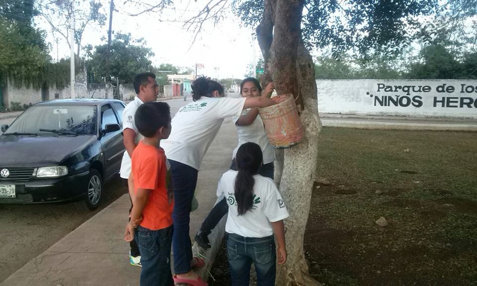 Niños cuidan los parques de Tizimín Niños cuidan los parques de Tizimín
