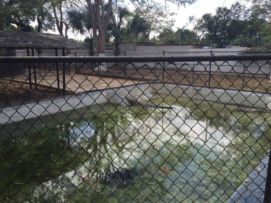 Mini zoológico de Mulsay no está abandonado Mini zoológico de Mulsay no está abandonado