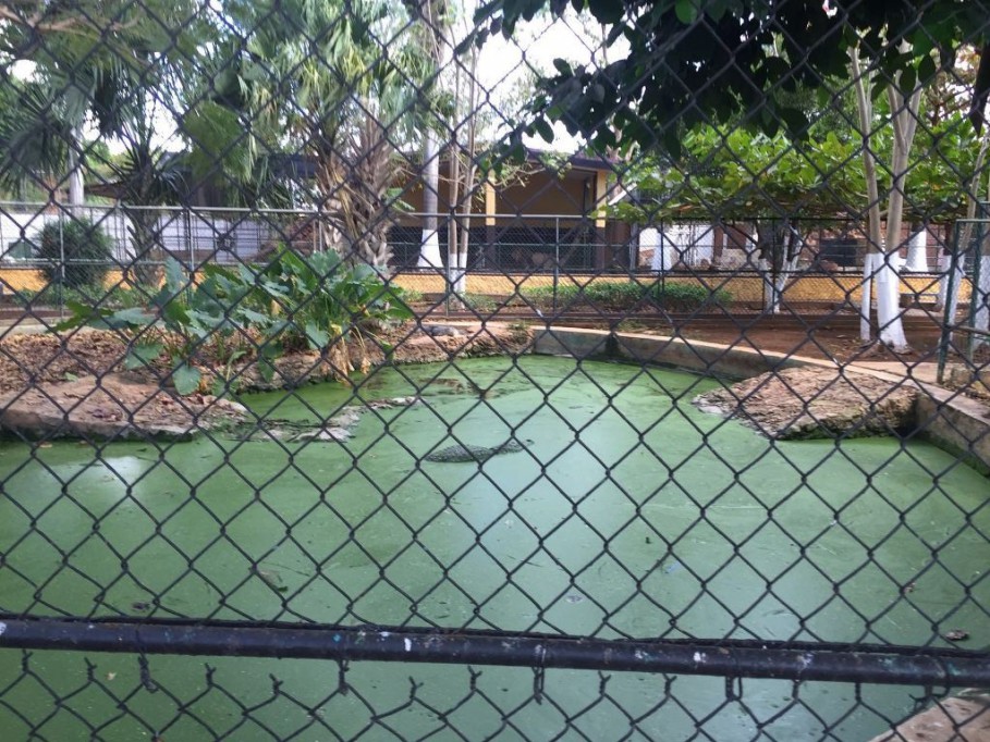 Profepa supervisa zoológico de la Mulsay Profepa supervisa zoológico de la Mulsay