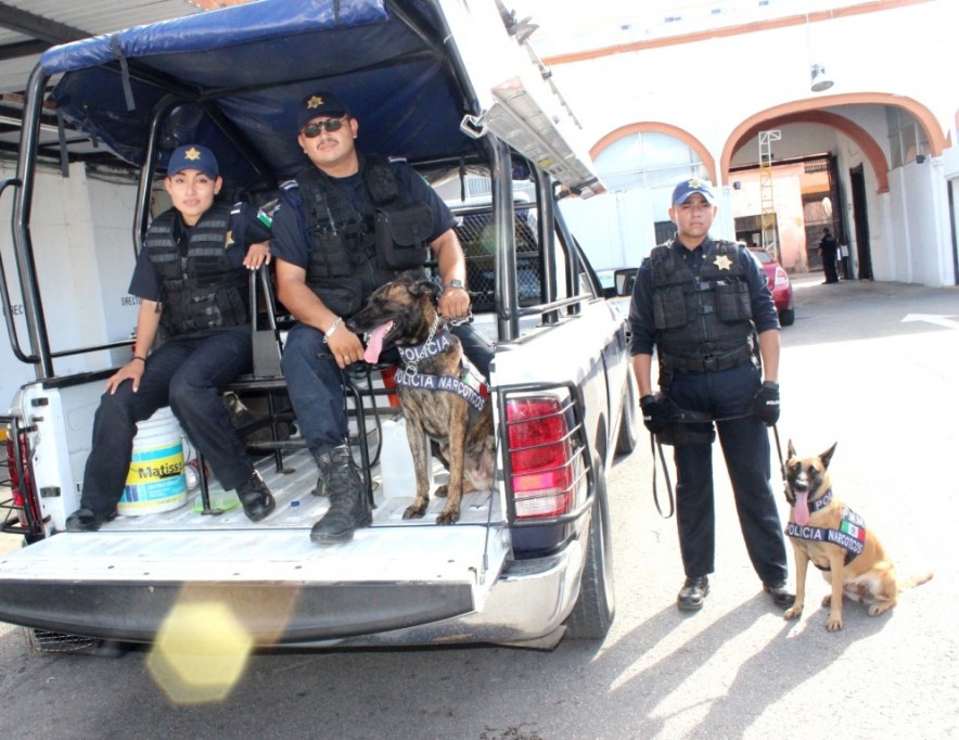 Nicky y Banzai, listas para detectar droga Nicky y Banzai, listas para detectar droga