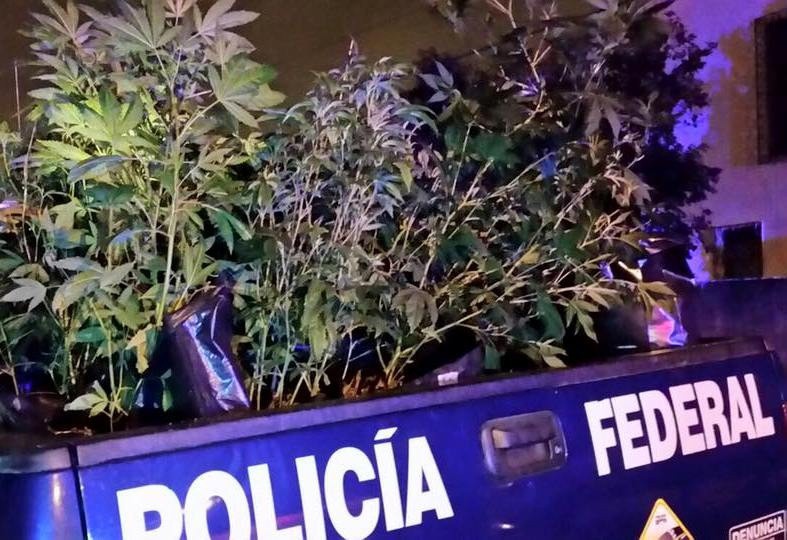 Desmantelan narco-laboratorio en Pensiones Desmantelan narco-laboratorio en Pensiones