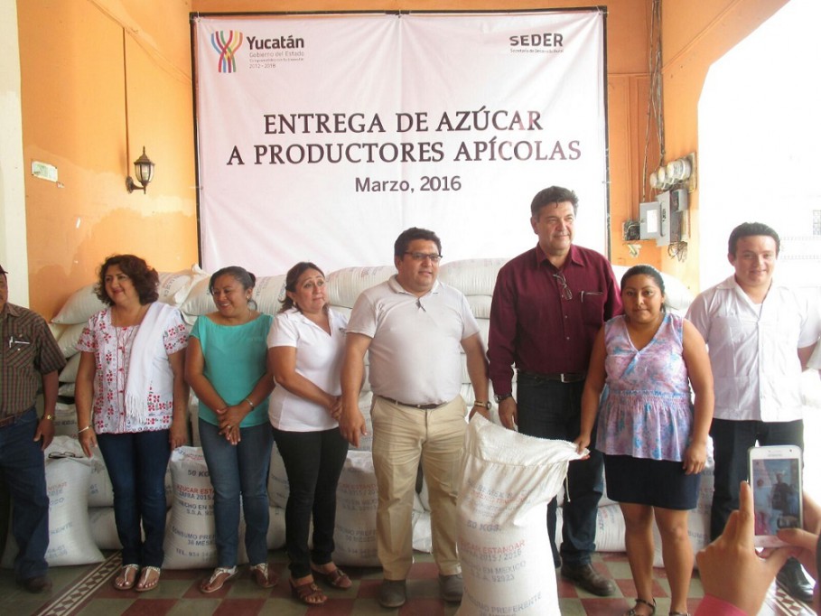 40 apicultores de Sucilá reciben azúcar subsidiada 40 apicultores de Sucilá reciben azúcar subsidiada
