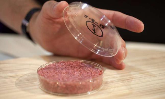 La primera hamburguesa “in vitro” y la más cara del mundo La primera hamburguesa “in vitro” y la más cara del mundo