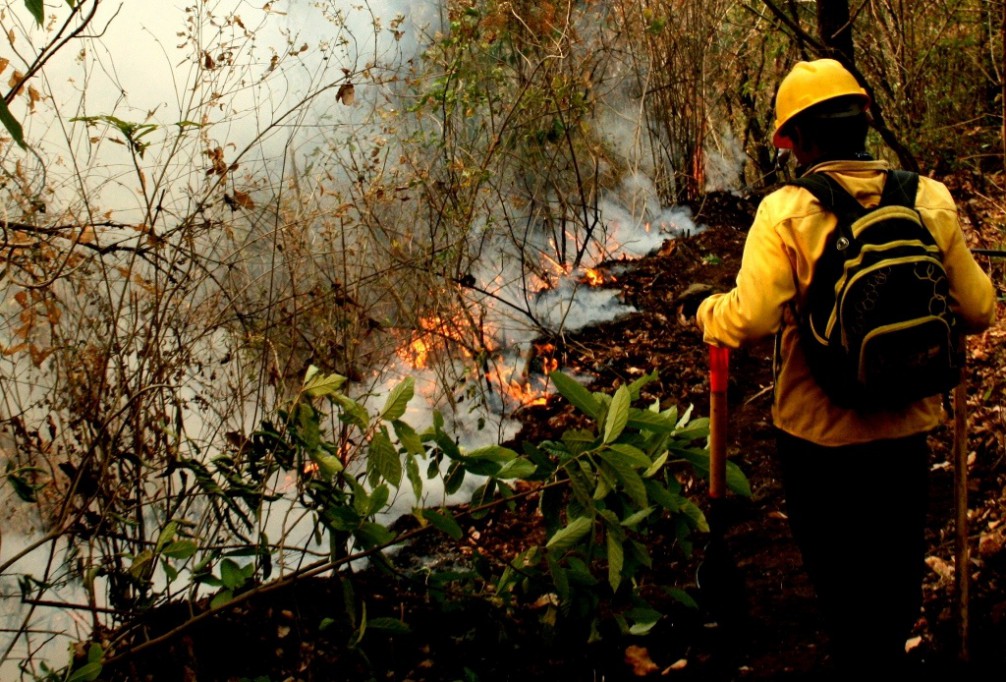 Pocos siniestros en la temporada de incendios Pocos siniestros en la temporada de incendios