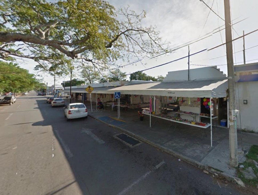 Exigen fumigar el mercado de la Alemán Exigen fumigar el mercado de la Alemán