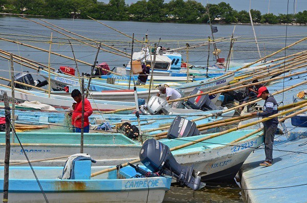 Abren ventanillas para proyectos pesqueros Abren ventanillas para proyectos pesqueros