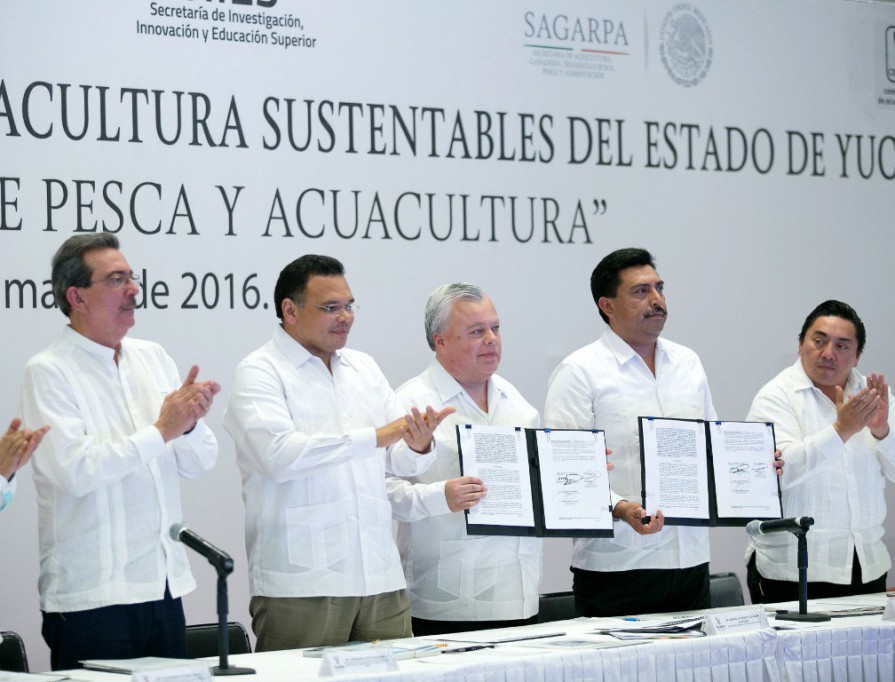 Habrá pesca responsable en Yucatán Habrá pesca responsable en Yucatán