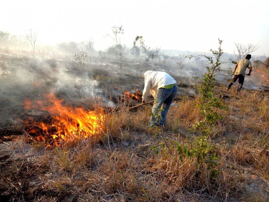 Suspenden quemas agrícolas en abril Suspenden quemas agrícolas en abril