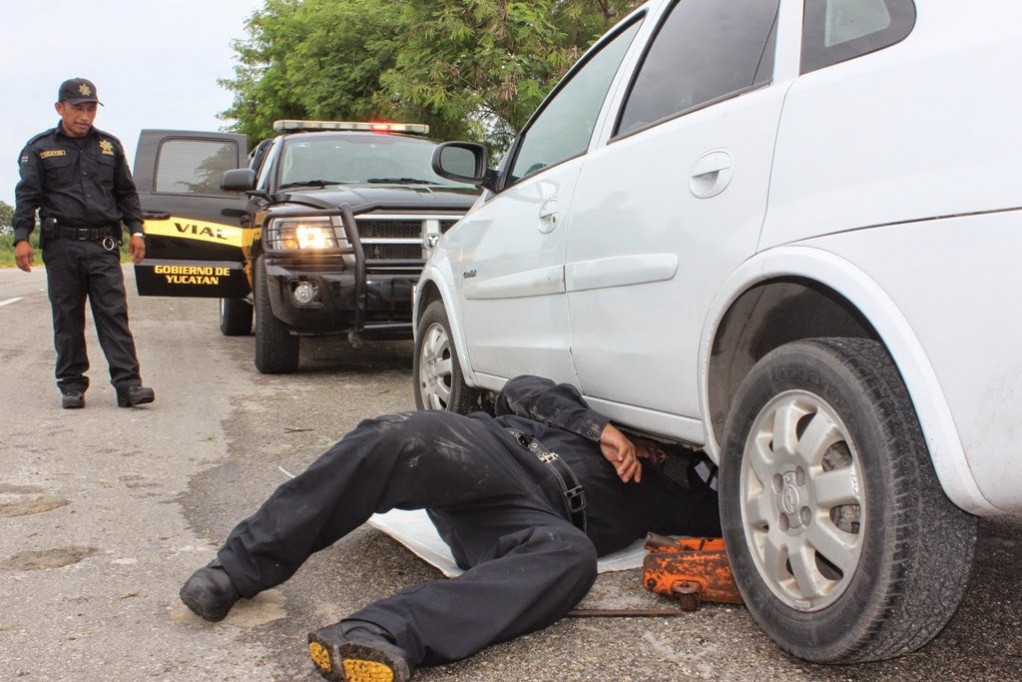 “Aves” al rescate de los ciudadanos “Aves” al rescate de los ciudadanos