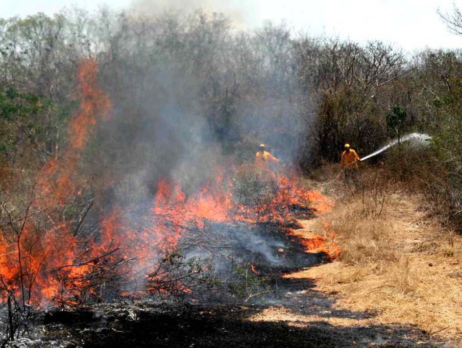 Aumenta riesgo de incendios con las altas temperaturas Aumenta riesgo de incendios con las altas temperaturas