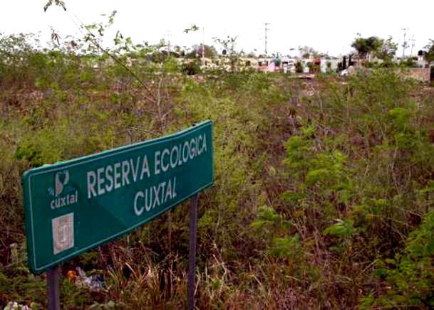 Ejidatarios denuncian abandono en le Reserva de Cuxtal Ejidatarios denuncian abandono en le Reserva de Cuxtal