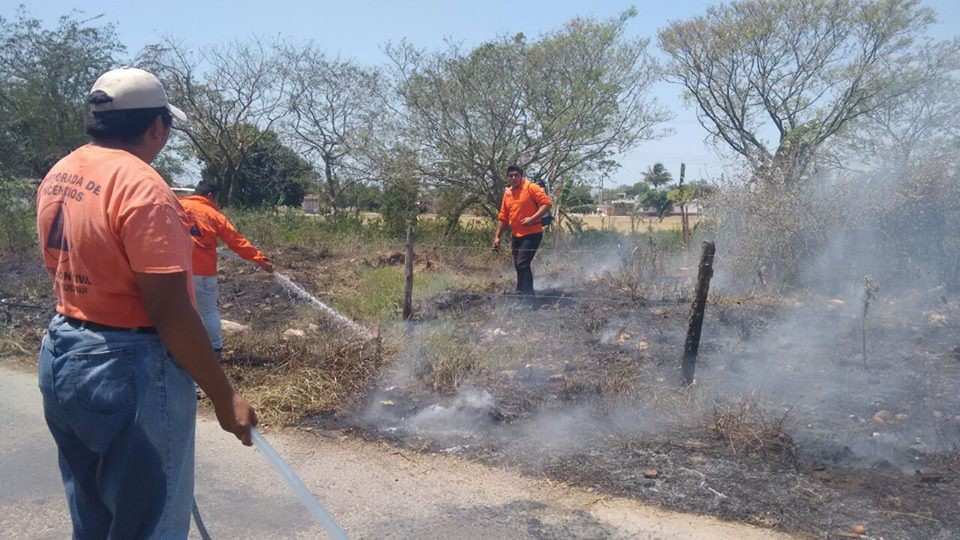 Por negligencia ciudadana se registran 2 incendios en Tizimín © 2016 Microsoft Términos Privacidad y cookies Desarrolladores Español Por negligencia ciudadana se registran 2 incendios en Tizimín © 2016 Microsoft Términos Privacidad y cookies Desarrolladores Español
