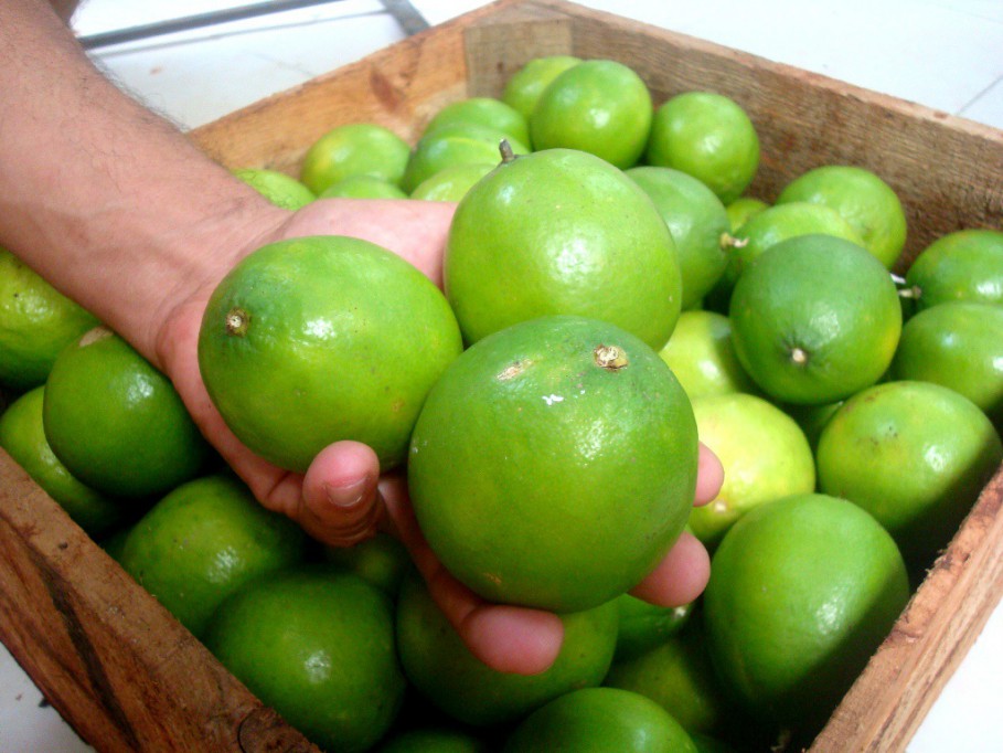 Aumenta el precio del limón Aumenta el precio del limón