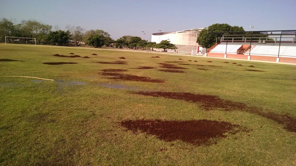 En mantenimiento instalaciones deportivas de Tizimín