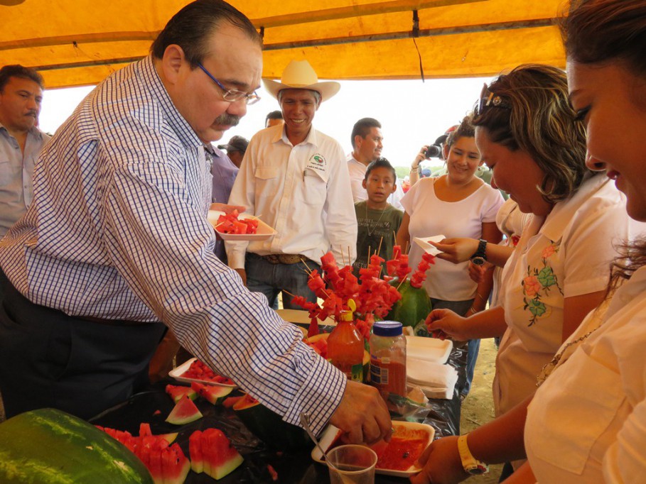 Envían sandía yucateca a Estados Unidos Envían sandía yucateca a Estados Unidos