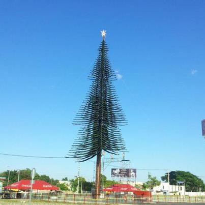 Este viernes encenderán el árbol navideño de Coca-Cola en Plaza Sendero Este viernes encenderán el árbol navideño de Coca-Cola en Plaza Sendero