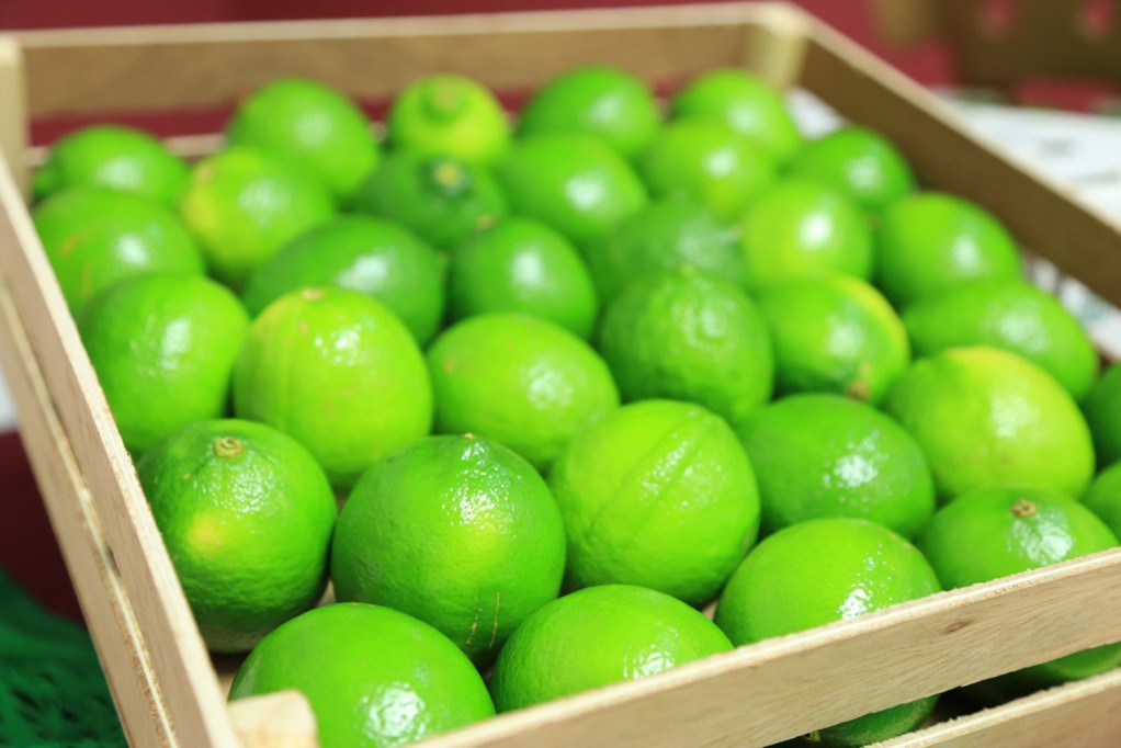 Hasta a 38 pesos el kilo de limón Hasta a 38 pesos el kilo de limón