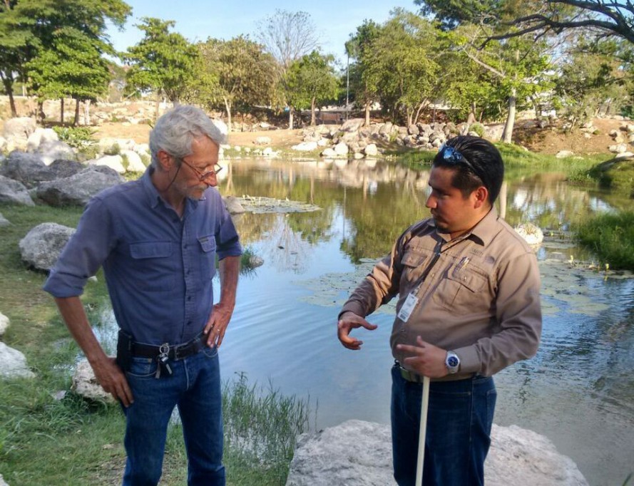Avanza con éxito campaña contra el dengue Avanza con éxito campaña contra el dengue
