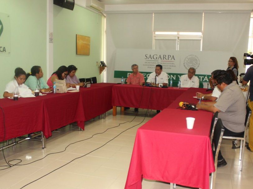 Entregan apoyos a pequeños productores Entregan apoyos a pequeños productores