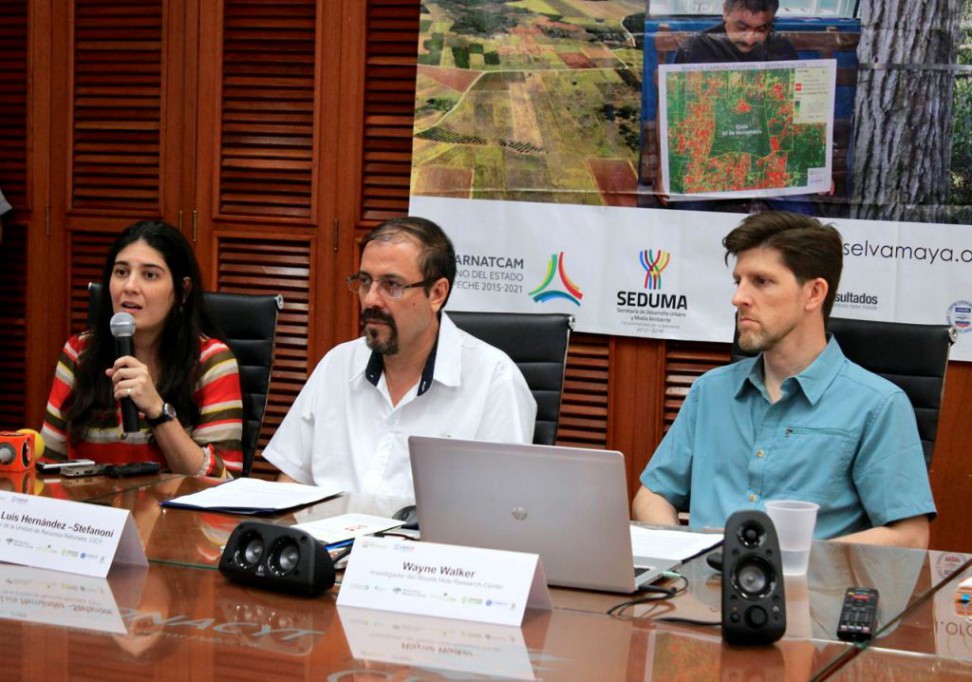 Realizan mapeo de bosques en el Sureste Realizan mapeo de bosques en el Sureste