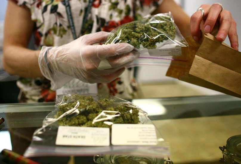 Presentan 200 solicitudes para uso lúdico de marihuana Presentan 200 solicitudes para uso lúdico de marihuana