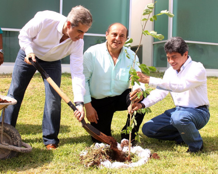 Jornada de reforestación en la FGE Jornada de reforestación en la FGE
