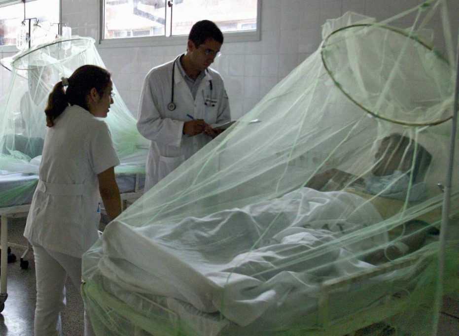 Disminuyen los casos de dengue en Yucatán Disminuyen los casos de dengue en Yucatán