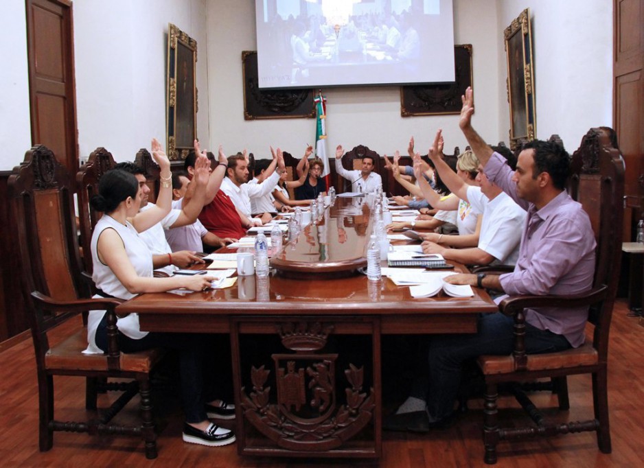 Implementarán reglamento para proteger árboles Implementarán reglamento para proteger árboles