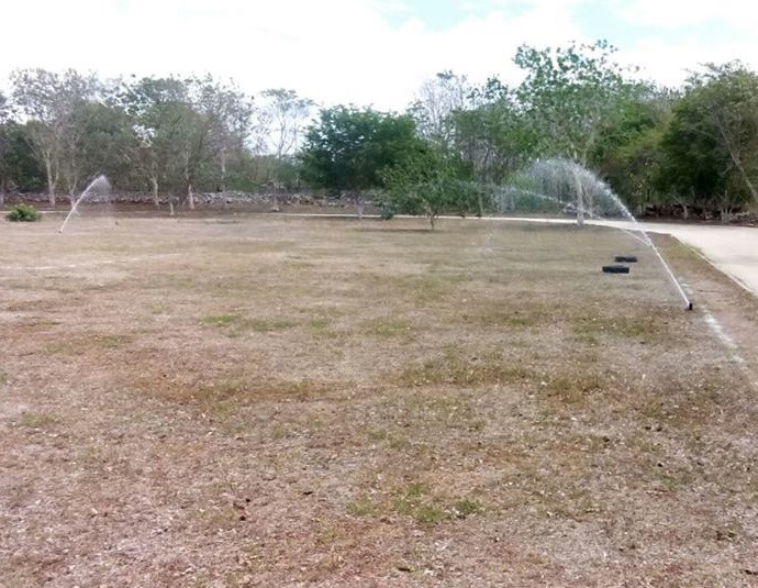 Campos de Sucilá reciben mantenimiento Campos de Sucilá reciben mantenimiento
