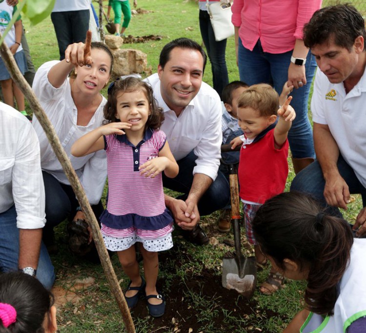Plantan más de 10 mil árboles en Mérida Plantan más de 10 mil árboles en Mérida