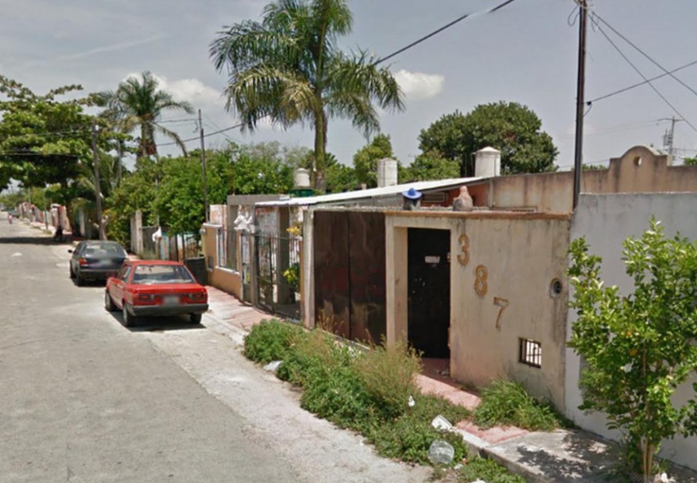 Reportan maltrato a perros en Juan Pablo Reportan maltrato a perros en Juan Pablo