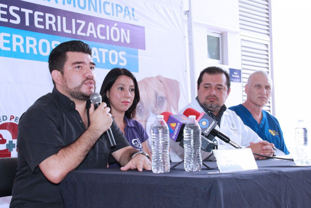 Realizarán campaña de esterilización para mascotas Realizarán campaña de esterilización para mascotas