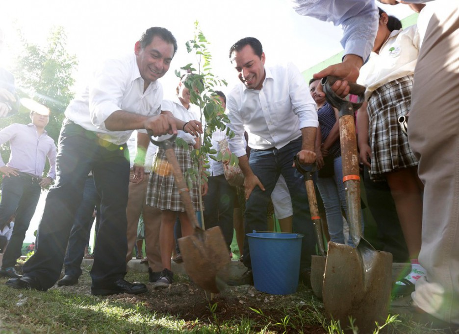 Reforestan escuelas de Mérida Reforestan escuelas de Mérida