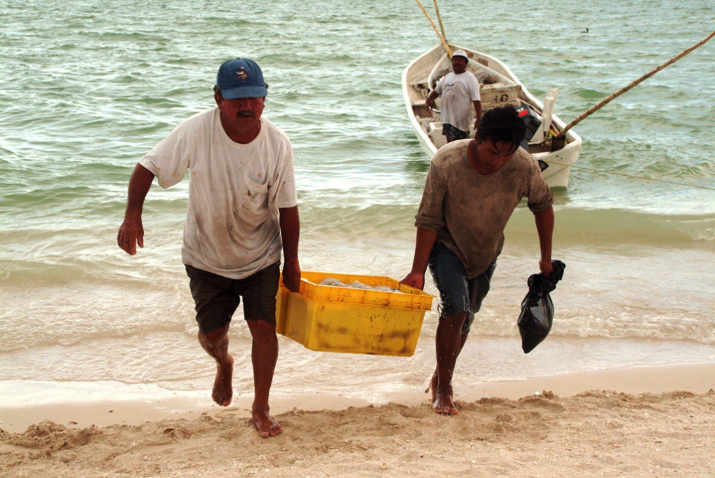 Imparten pláticas de prevención a pescadores Imparten pláticas de prevención a pescadores