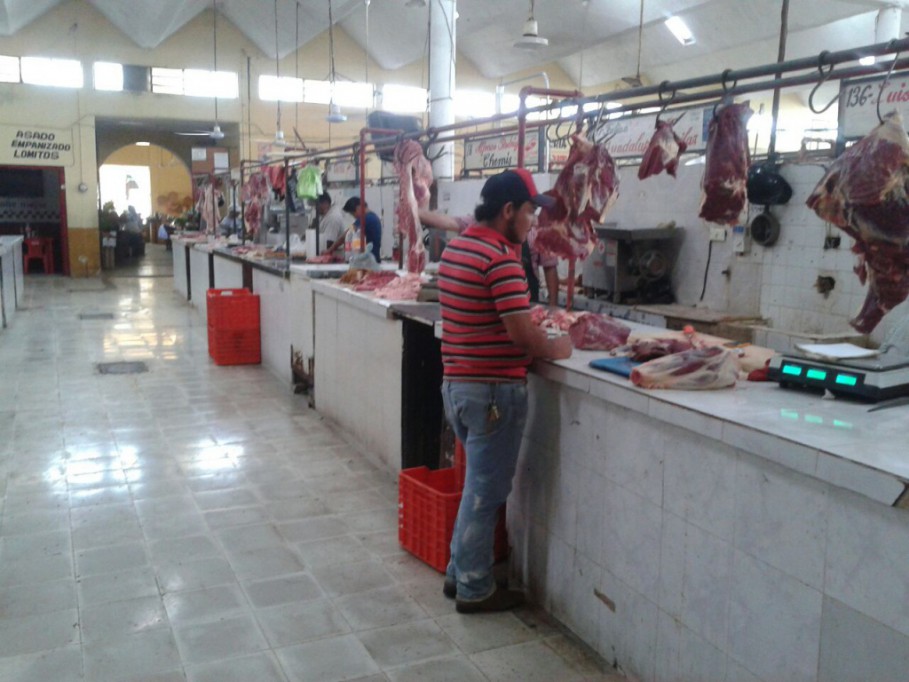 Para fumigar el mercado de Valladolid locatarios deben solicitarlo Para fumigar el mercado de Valladolid locatarios deben solicitarlo