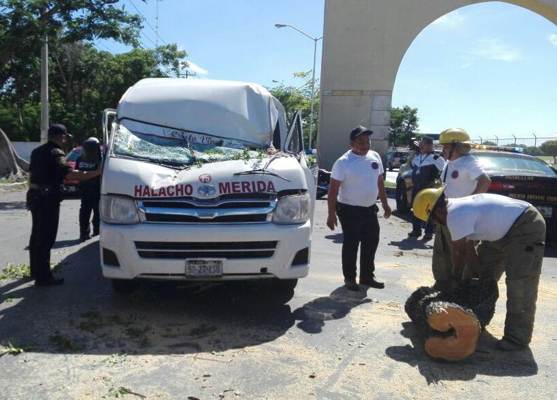 Árbol destroza combi de pasajeros Árbol destroza combi de pasajeros