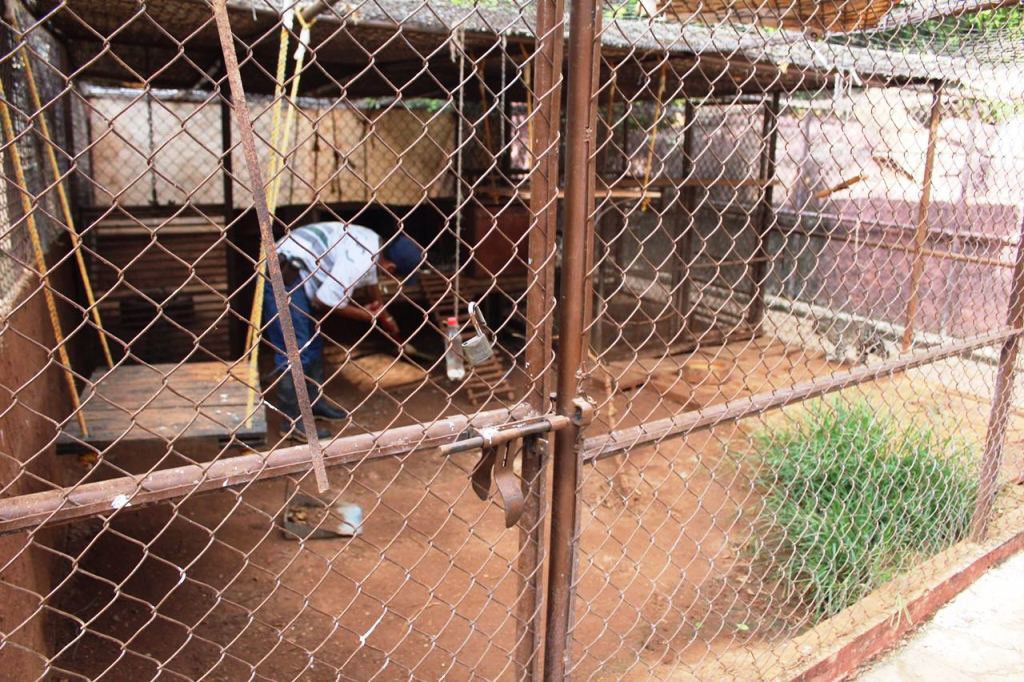 Señalan falta de mantenimiento en zoológicos Señalan falta de mantenimiento en zoológicos