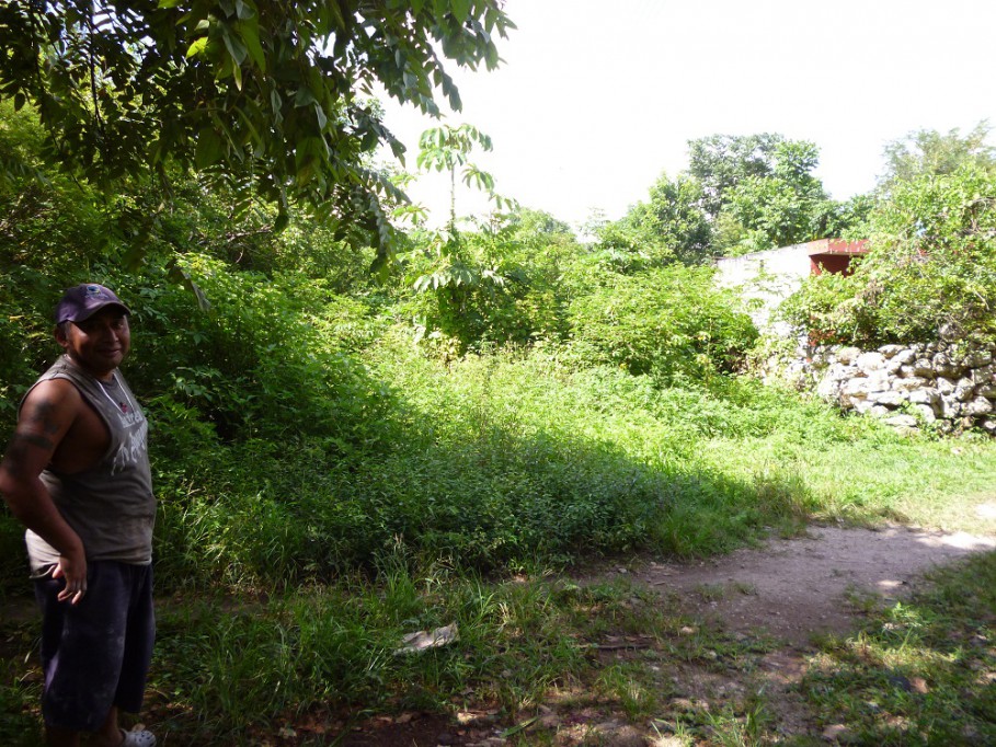 TIZIMIN: Fumigarán zona olvidada.\r\n TIZIMIN: Fumigarán zona olvidada.\r\n