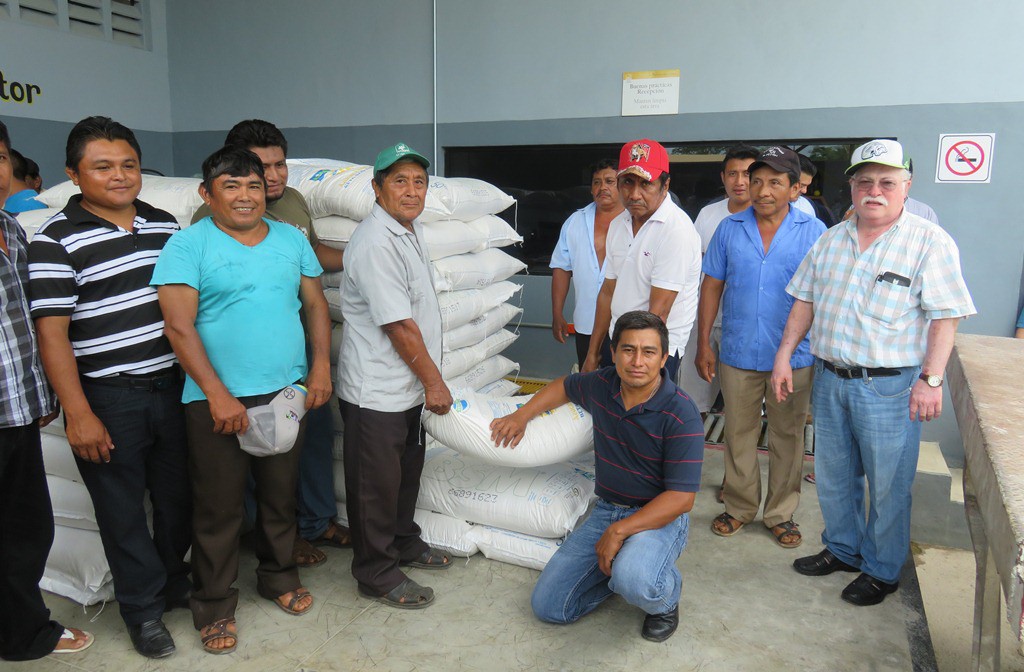 Entregan azúcar a apicultores Entregan azúcar a apicultores