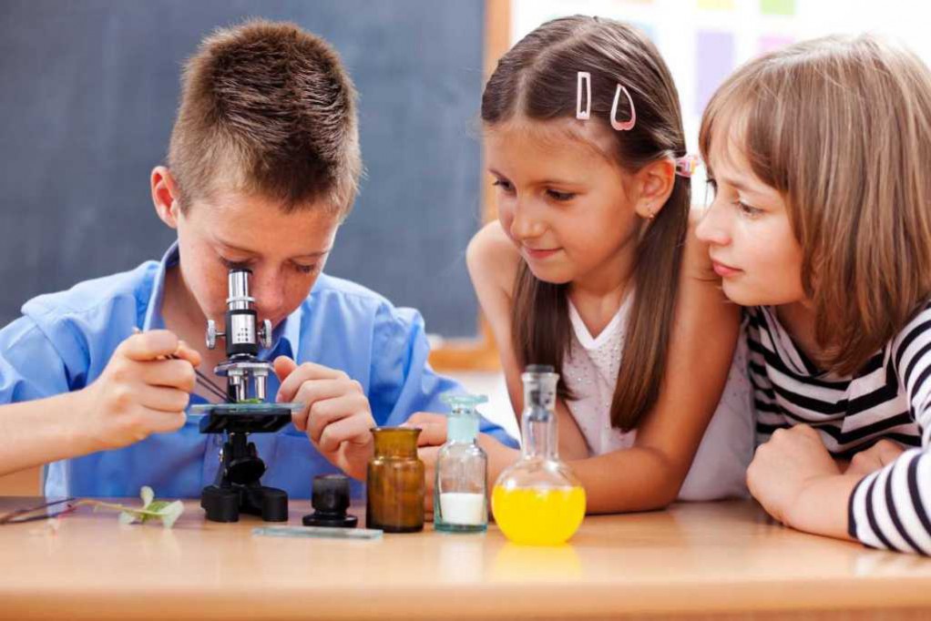 Ciencia para niños en Talento CICY Ciencia para niños en Talento CICY