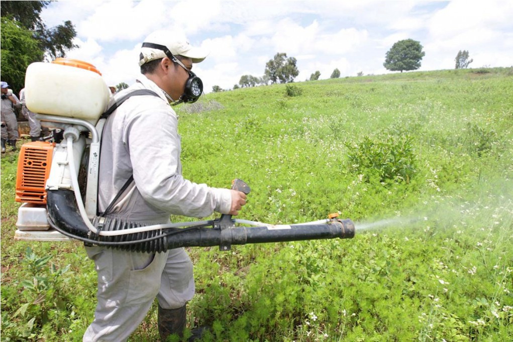 Evitarán el uso de pesticidas en el campo Evitarán el uso de pesticidas en el campo